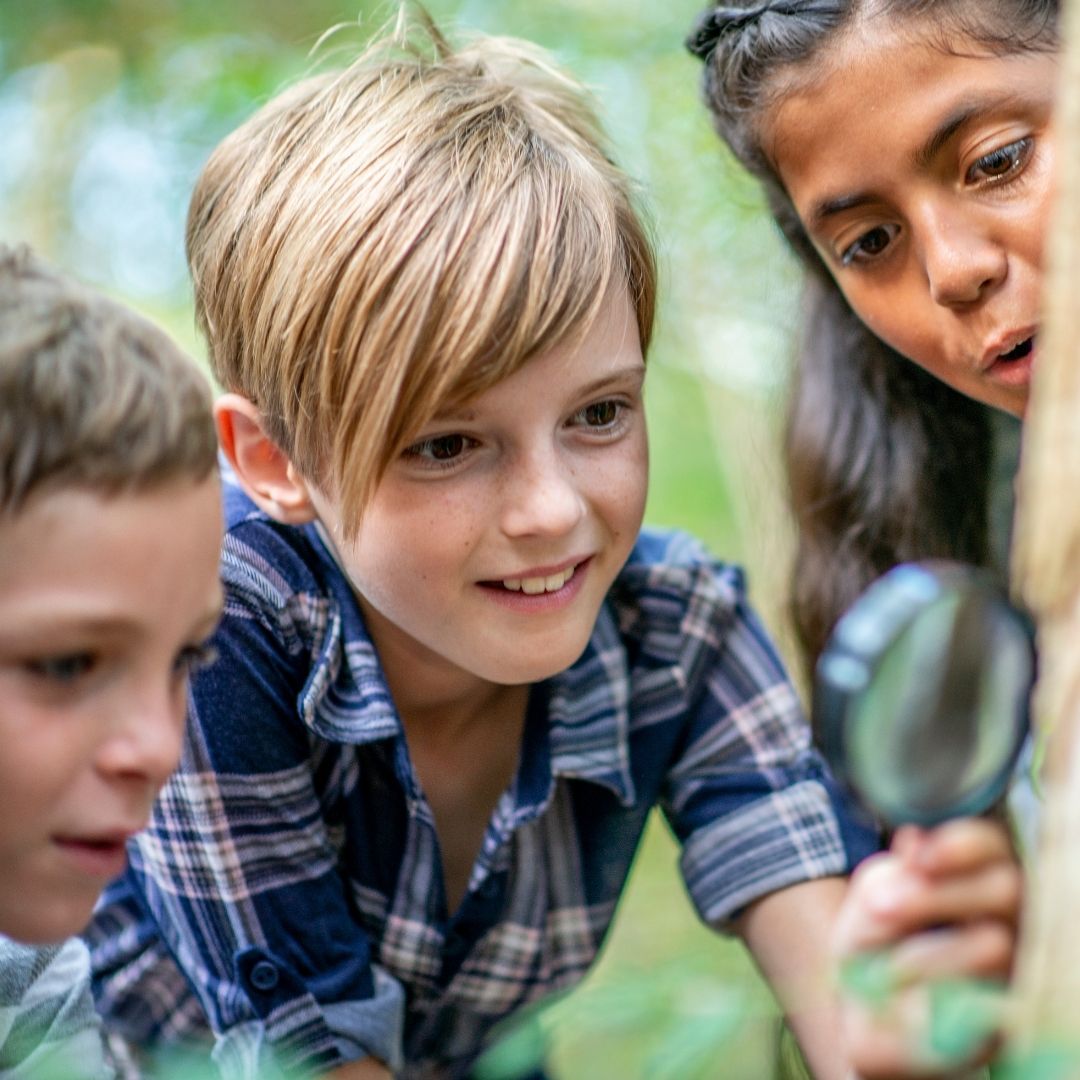 kids examining nature